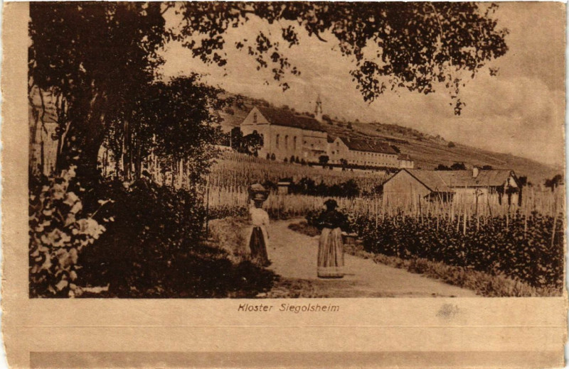 Carte postale ancienne Kloster - Siegolsheim