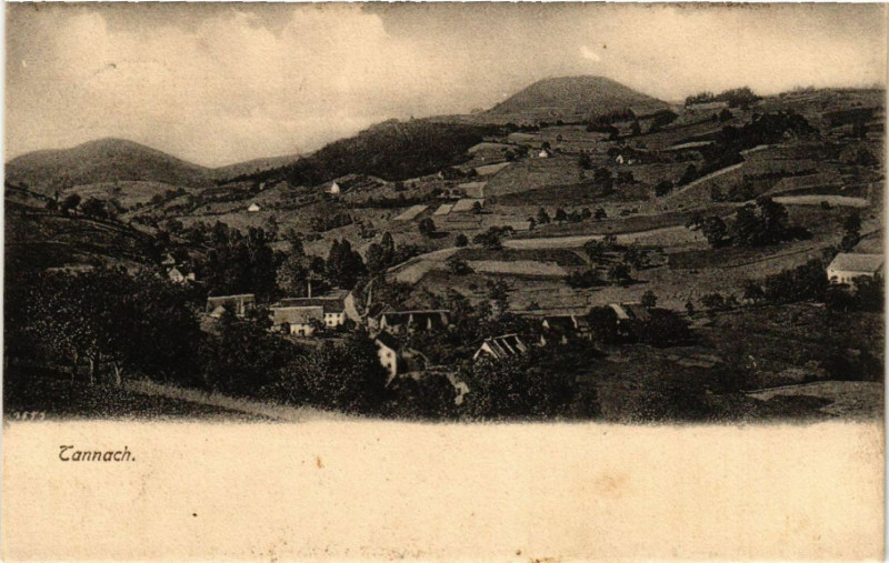 Carte postale ancienne Tannach