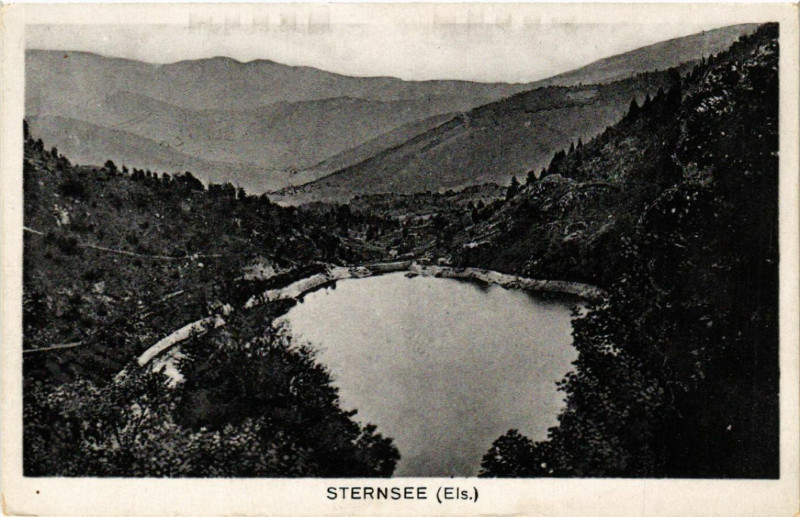 Carte postale ancienne Sternsée