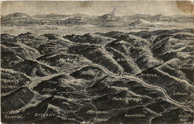 Carte postale ancienne Das Schlachtfeld in den Vogesen