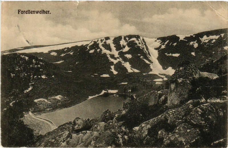 Carte postale ancienne Forellenweiher