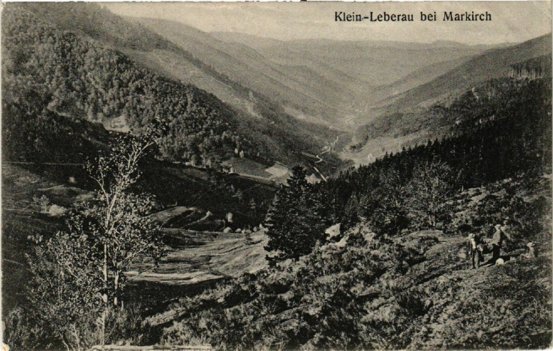 Carte postale ancienne Klein Leberau b. Markirch