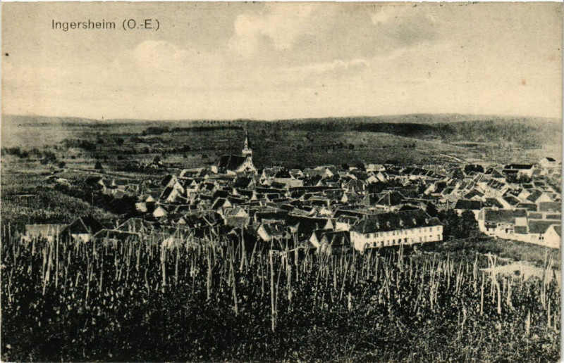 Carte postale ancienne Ingersheim à Ingersheim