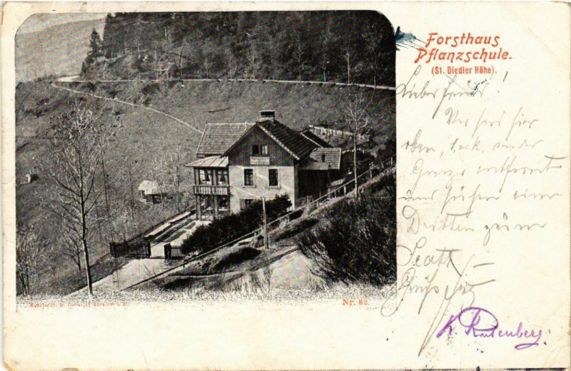 Carte postale ancienne Forsthaus - Pfalnzschule