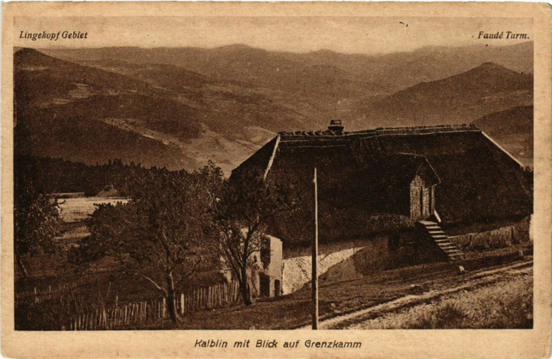 Carte postale ancienne Kalblin mit blick auf Grenzkamm