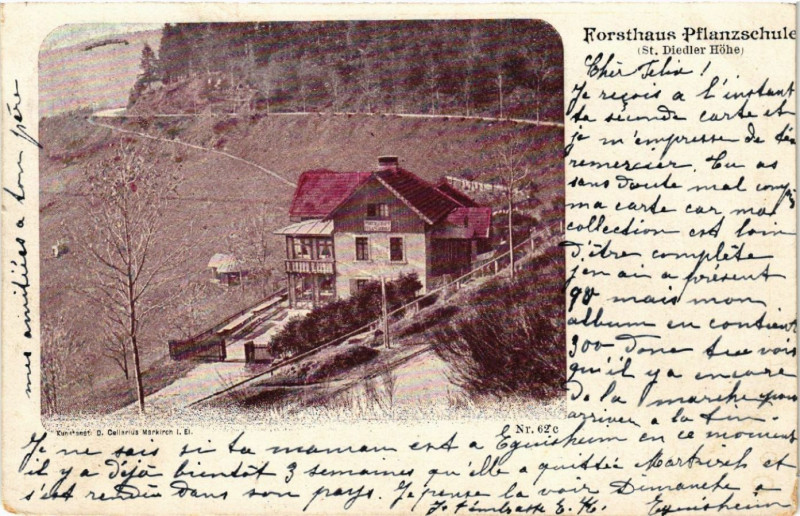 Carte postale ancienne Forsthaus Pflanzschule