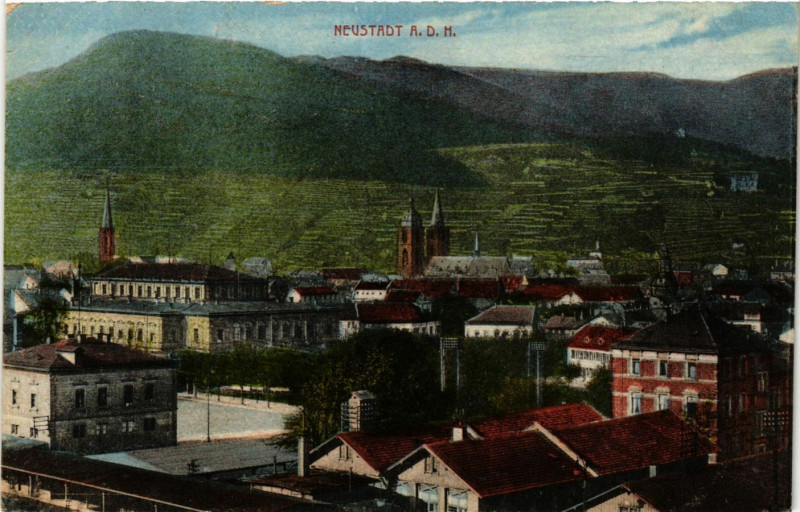 Carte postale ancienne Neustadt A.D.H.
