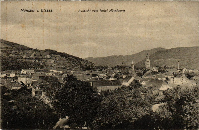 Carte postale ancienne Aussicht vom Hotel Monchberg