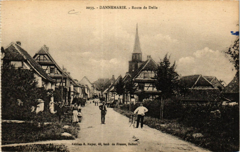 Carte postale ancienne Dannemarie - Route de Delle à Dannemarie