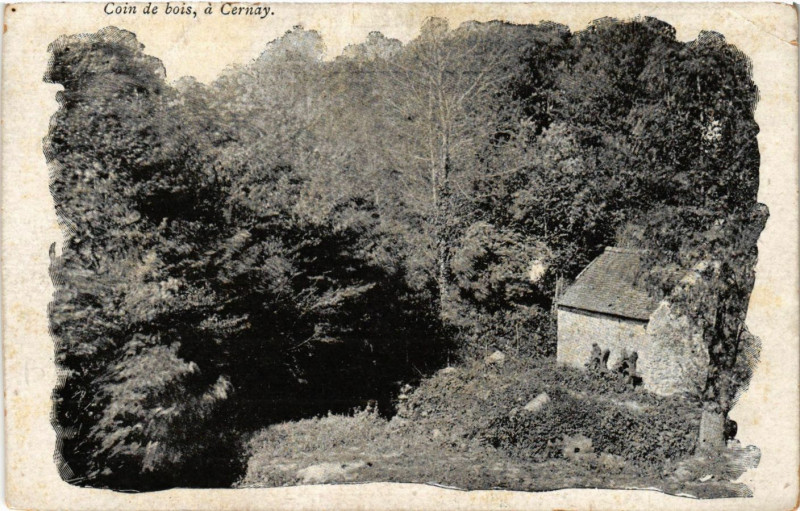 Carte postale ancienne Coin de Bois a Cernay à Cernay