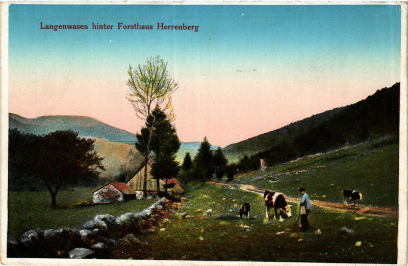 Carte postale ancienne Langenwasen hinter Forsthaus Herrenberg