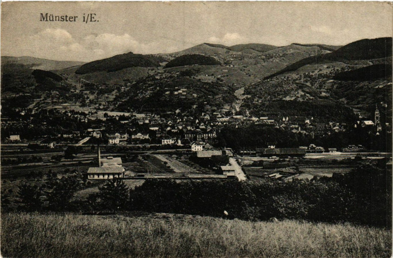 Carte postale ancienne Munster i/E. à Munster