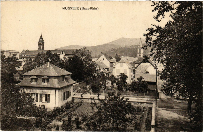 Carte postale ancienne Munster (Haut-Rhin) à Munster