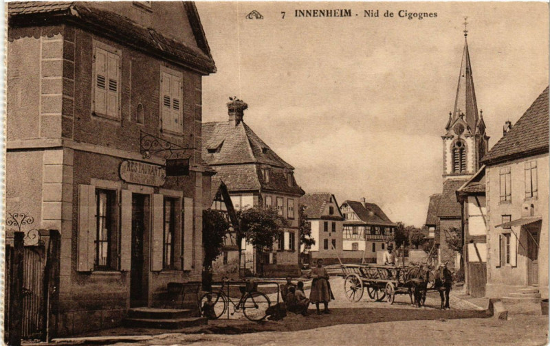 Carte postale ancienne Innenheim - Nid de Cigognes