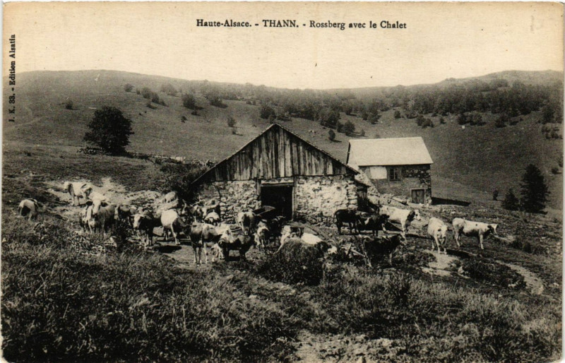 Carte postale ancienne Haute-Alsace - Thann - Rossberg avec le Chalet à Thann