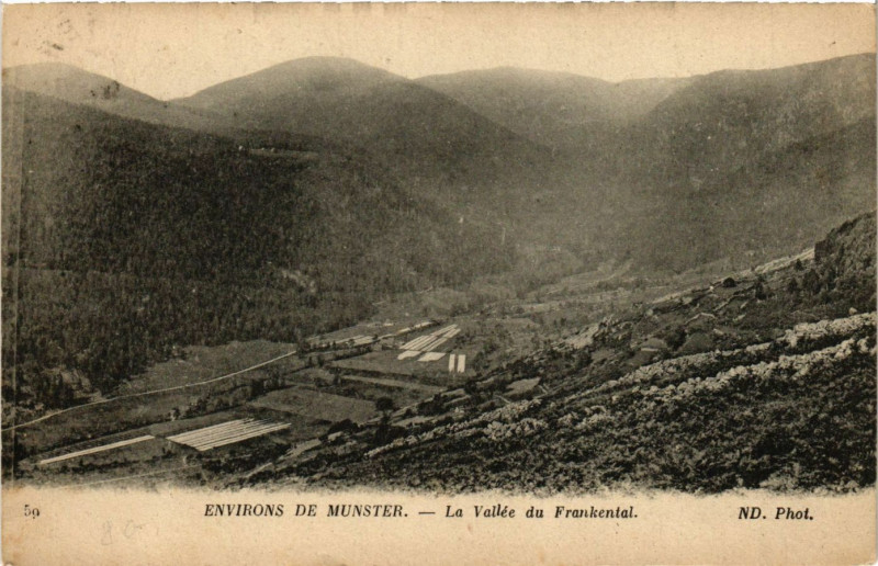 Carte postale ancienne Env. de Munster - La Vallée du Frankental à Munster