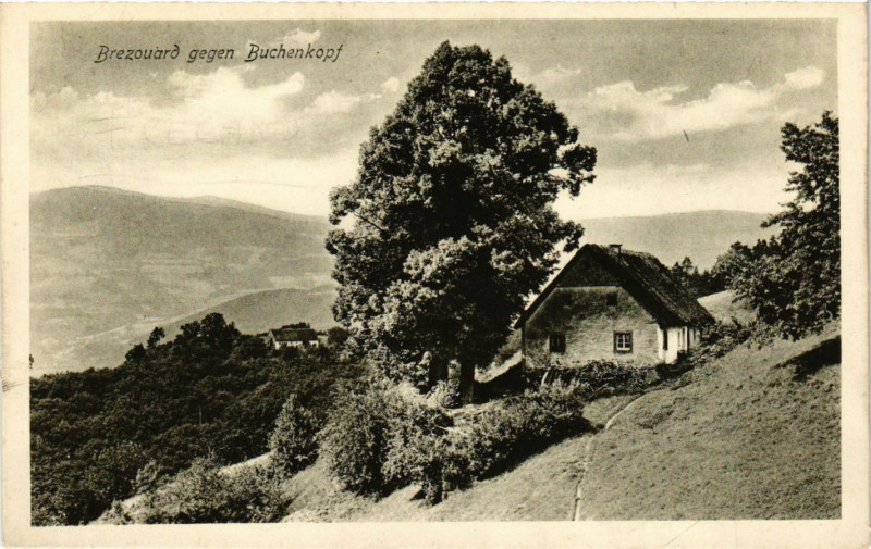 Carte postale ancienne Brezouard gegen Buchenkopf