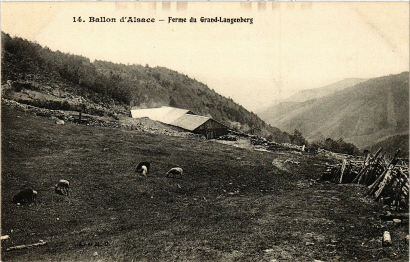 Carte postale ancienne Ballon d'Alsace - Ferme du Grand Langenberg