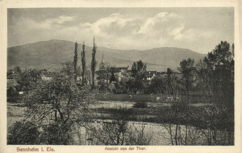 Carte postale ancienne Sennheim I.Eis. Ansicht von der Thur