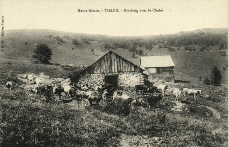 Carte postale ancienne Haute Alsace - Thann - Rossberg avec la Chalet à Thann