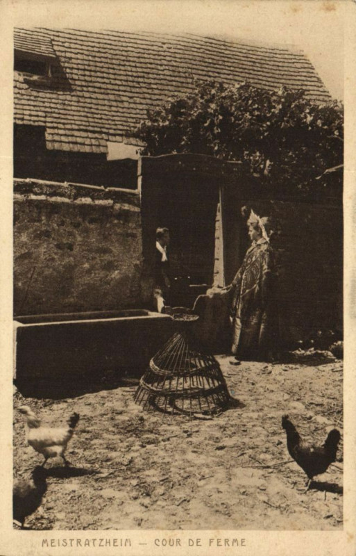Carte postale ancienne Meistratzheim - Cour de Ferme