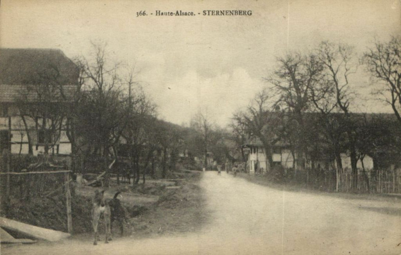 Carte postale ancienne Haute - Alsace - Sternenberg à Sternenberg