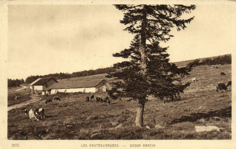 Carte postale ancienne Les Hautes-Chaumes - Gazon Martin