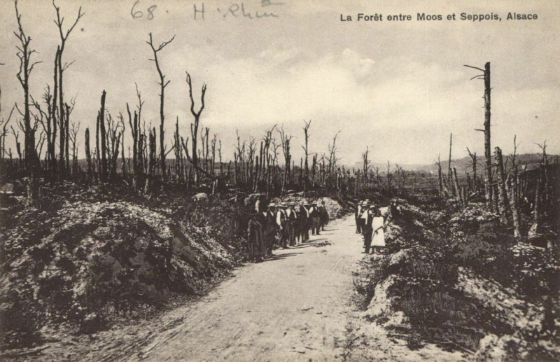 Carte postale ancienne La Foret entre Moos et Seppois Alsac