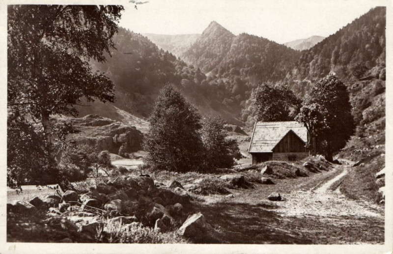 Carte postale ancienne Metzeral Ferme dans la Vallée de la Wolmsa à Metzeral