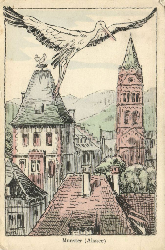 Carte postale ancienne Munster (Alsace) à Munster