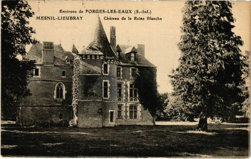 Carte postale ancienne Château de la Reine Blanche au Mesnil-Lieubray