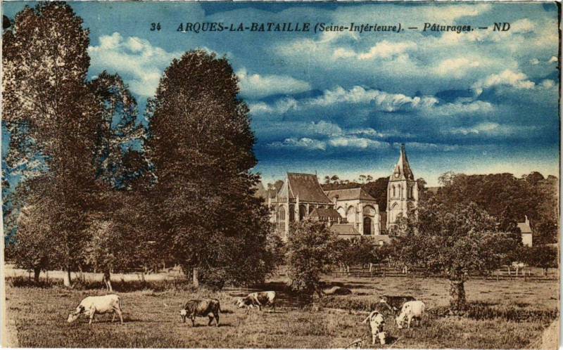 Carte postale ancienne Arques-la-Bataille - Paturages à Arques-la-Bataille