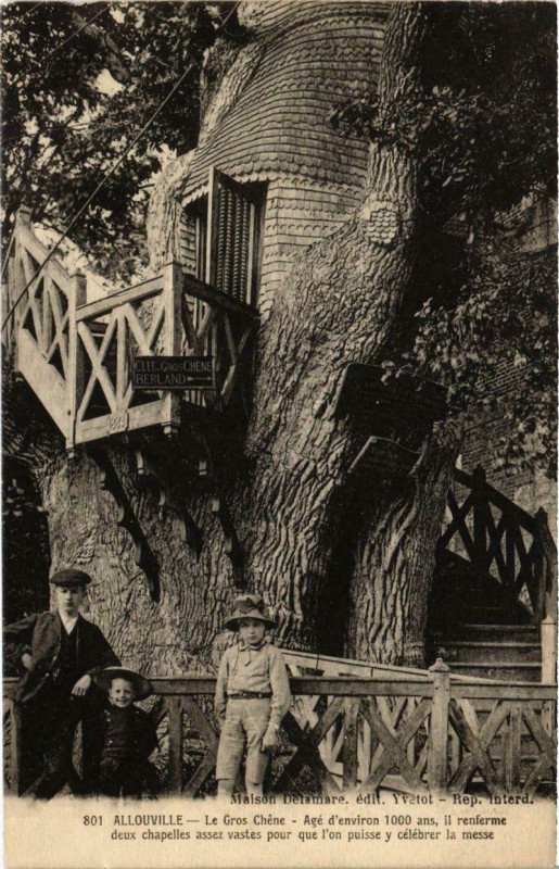 Carte postale ancienne Allouville - Le Gros Chene