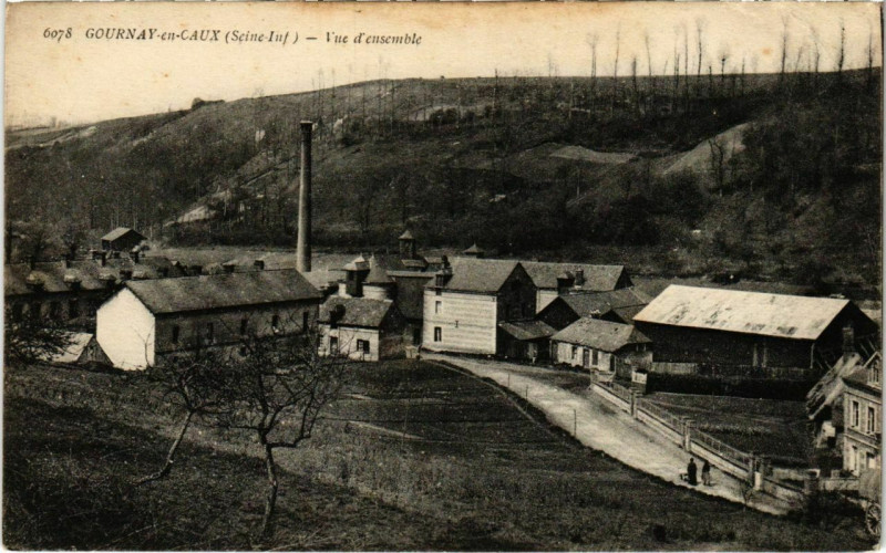 Carte postale ancienne Gournay-en-Caux - Vue d'ensemble