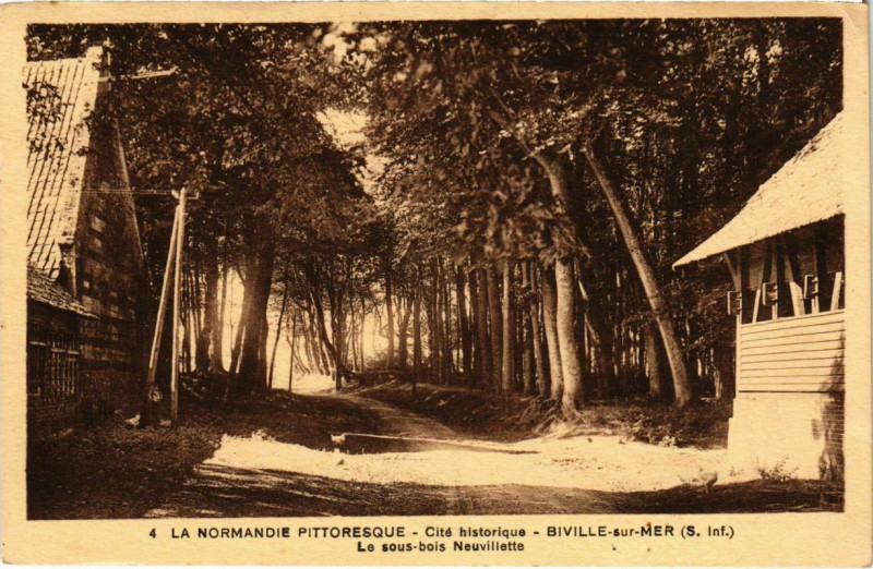 Carte postale ancienne Biville-sur-Mer - Le sous-Bois Neuvillette à Eu