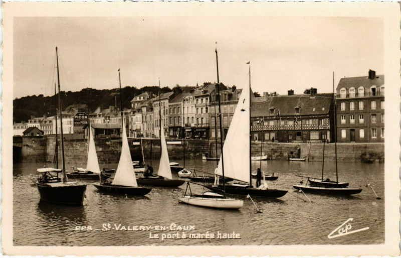 Carte postale ancienne Saint-Valery-en-Caux - Bateaux de plaisance dans le Port à Saint-Valery-en-Caux
