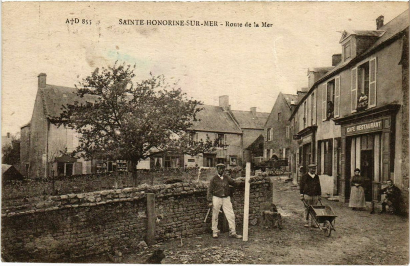 Carte postale ancienne Sainte-Honorine-sur-Mer - Route de la Mer