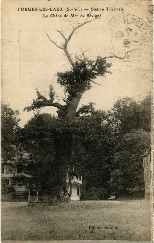 Carte postale ancienne Forges-les-Eaux Le Chene de Mme de Sevigne à Forges-les-Eaux