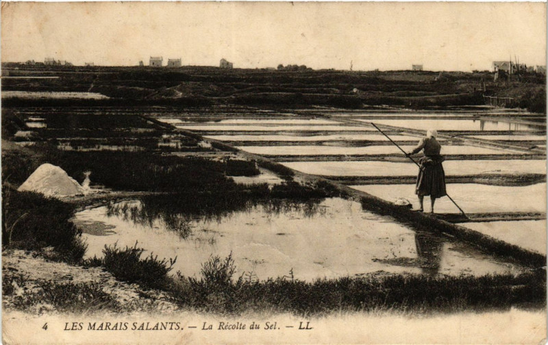 Carte postale ancienne Les Marais Salants La Recolte du Sel