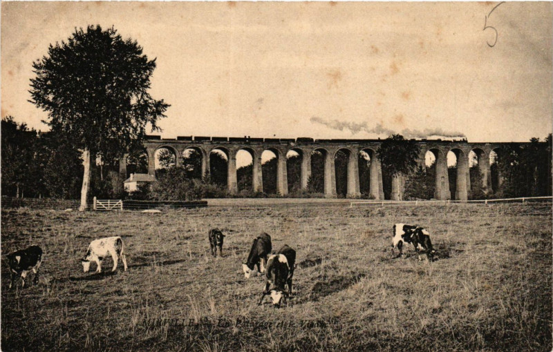 Carte postale ancienne Mirville Un Paturage et le Vieduc à Mirville