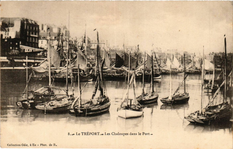 Carte postale ancienne Le Treport Les Chaloupes dans le Port
