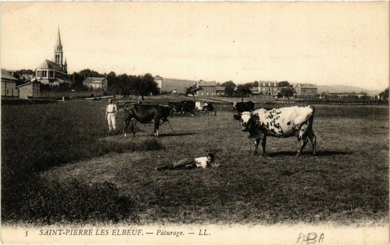 Carte postale ancienne Saint-Pierre les Elbeuf-Paturage à Elbeuf