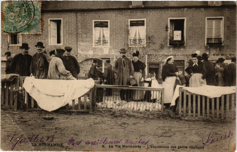 Carte postale ancienne La Vie Normande-L'Exposition des petits Cochons