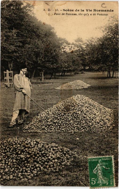 Carte postale ancienne Scene de la Vie Normande Pour de Pommes sur qu'y de Pommes