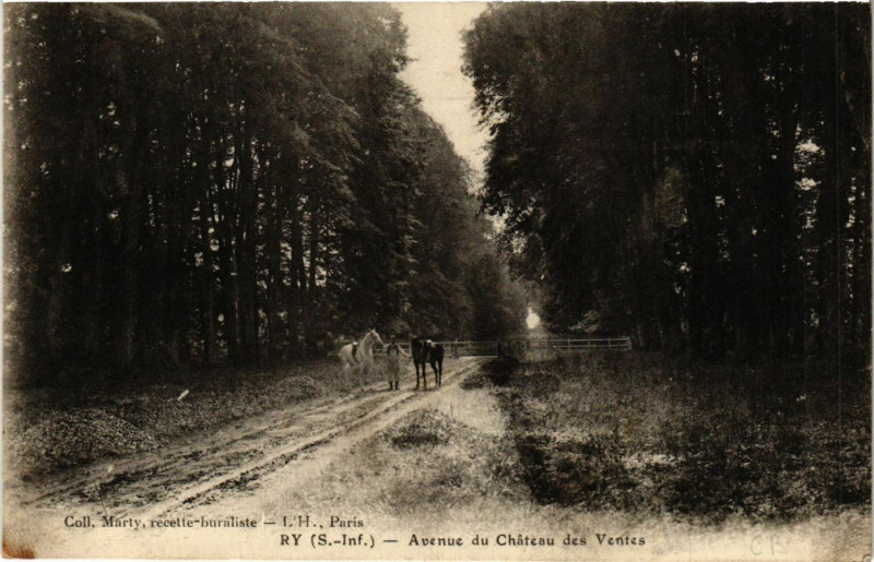 Carte postale ancienne Ry-Avenue du Chateau des Ventes à Ry