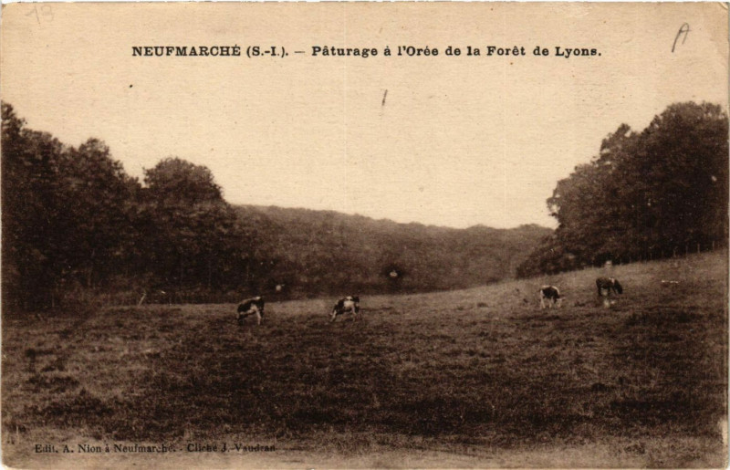 Carte postale ancienne Neufmarche-Paturage a l'Orée de la Foret de Lyons à Eu