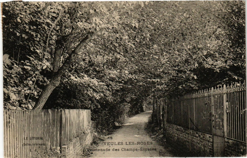 Carte postale ancienne Veules les Roses Promenade des Champs-Elysées à Eu