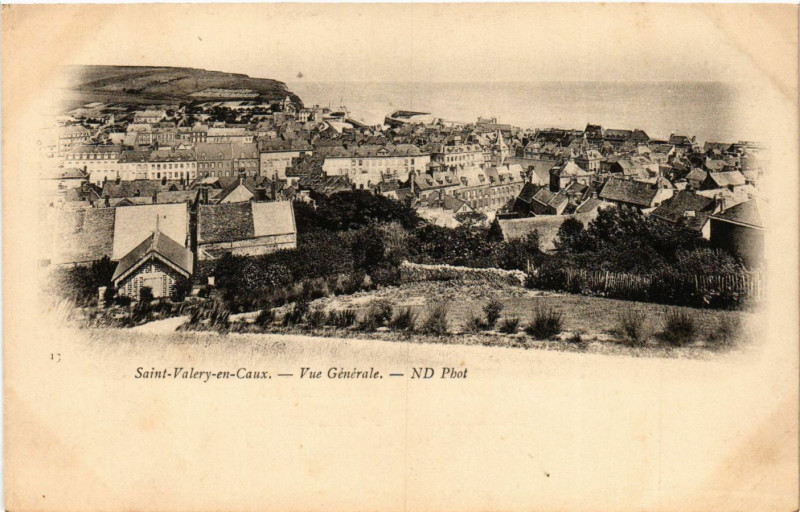 Carte postale ancienne Saint-Valery en Caux-Vue générale à Ry