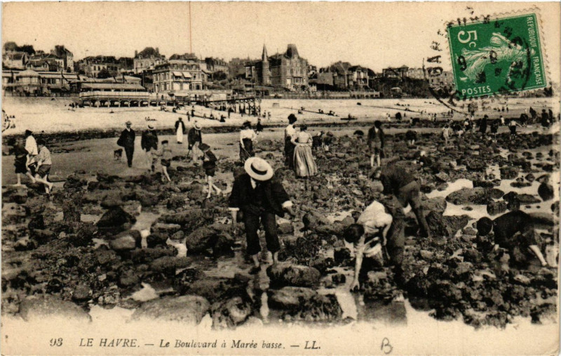 Carte postale ancienne Le Havre-Le Boulevard a Marée basse au Havre