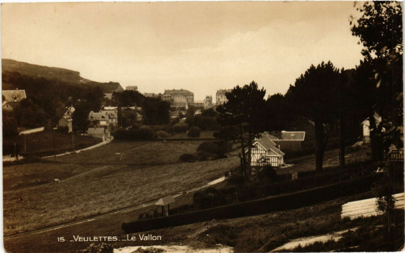 Carte postale ancienne Veulettes-Le Vallon à Eu